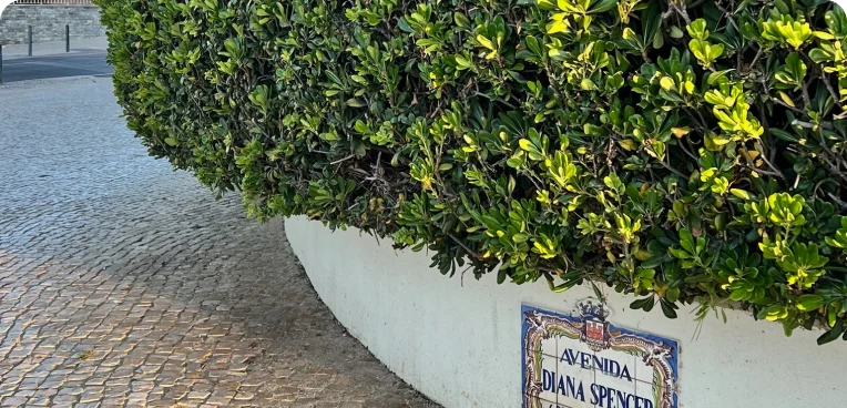 Регионы России