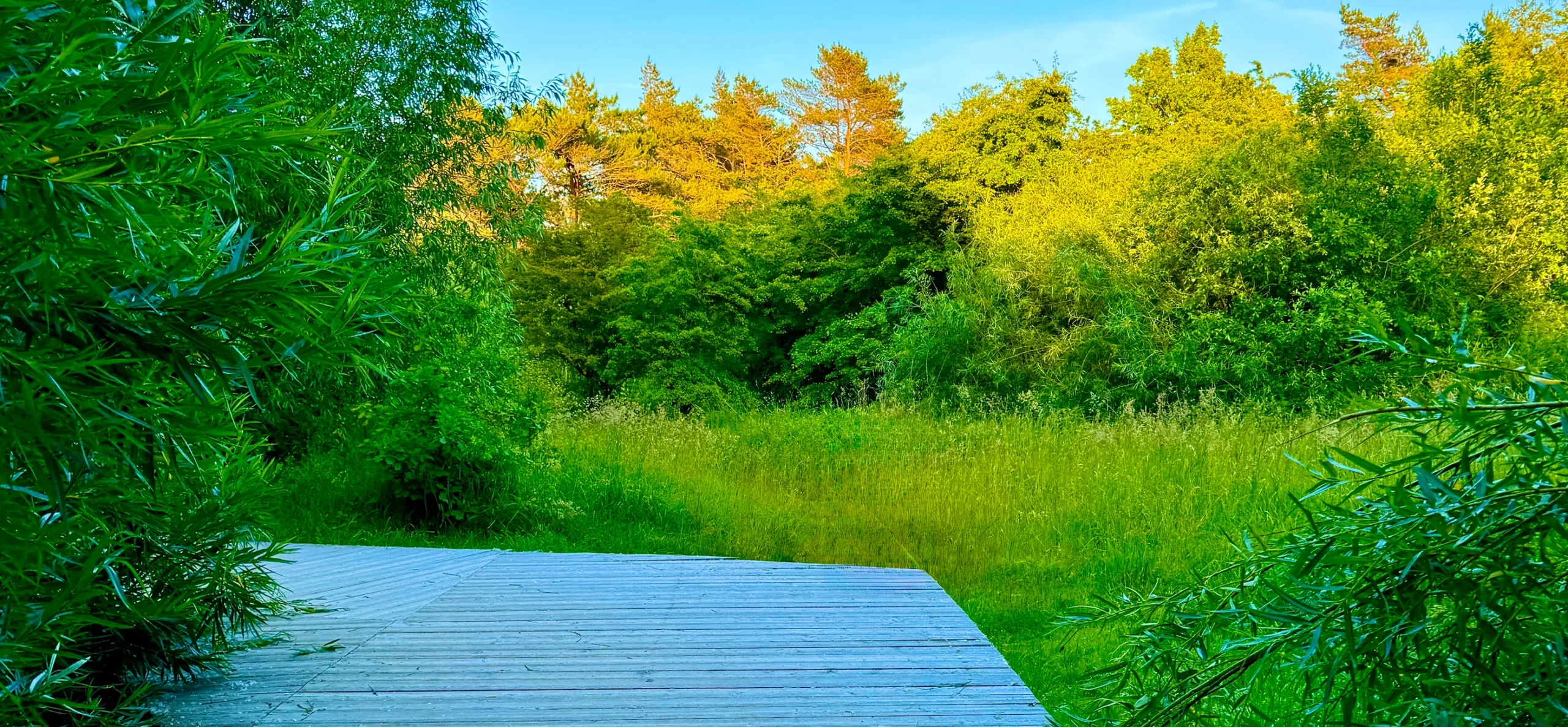 Как выбрать участок для строительства дома?