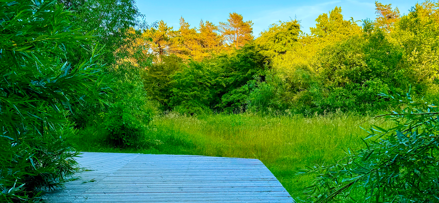 Как выбрать участок для строительства дома?